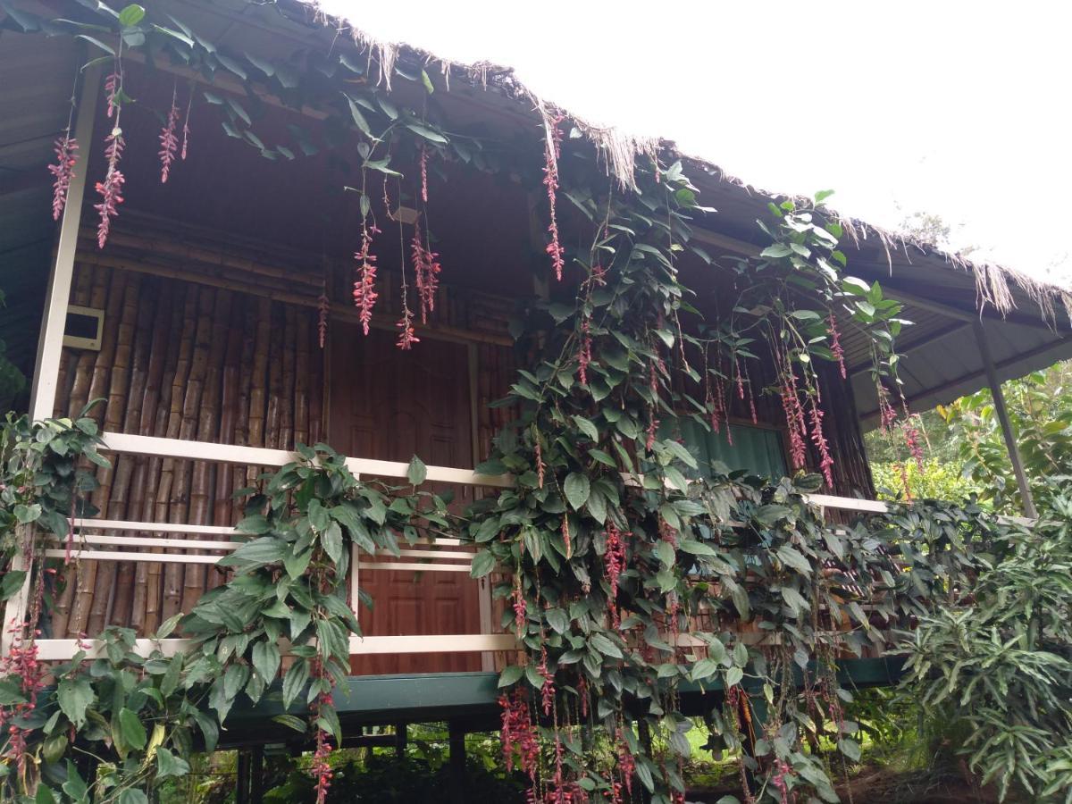 Koomankolly Resort Thirunelly Dış mekan fotoğraf
