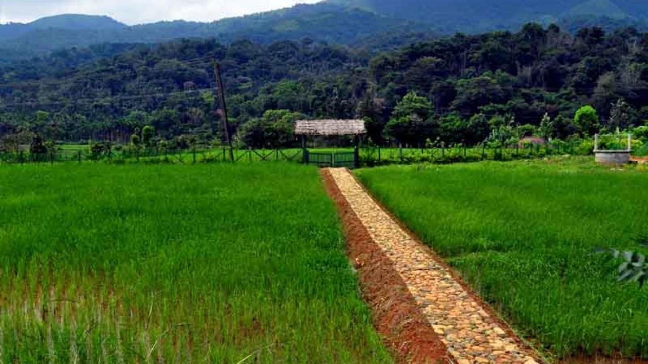 Koomankolly Resort Thirunelly Dış mekan fotoğraf